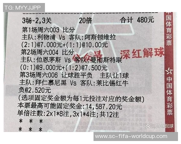 重庆网球队实力分析与联赛表现评估的全面解读 重庆网球队实力分析与联赛表现评估的全面解读